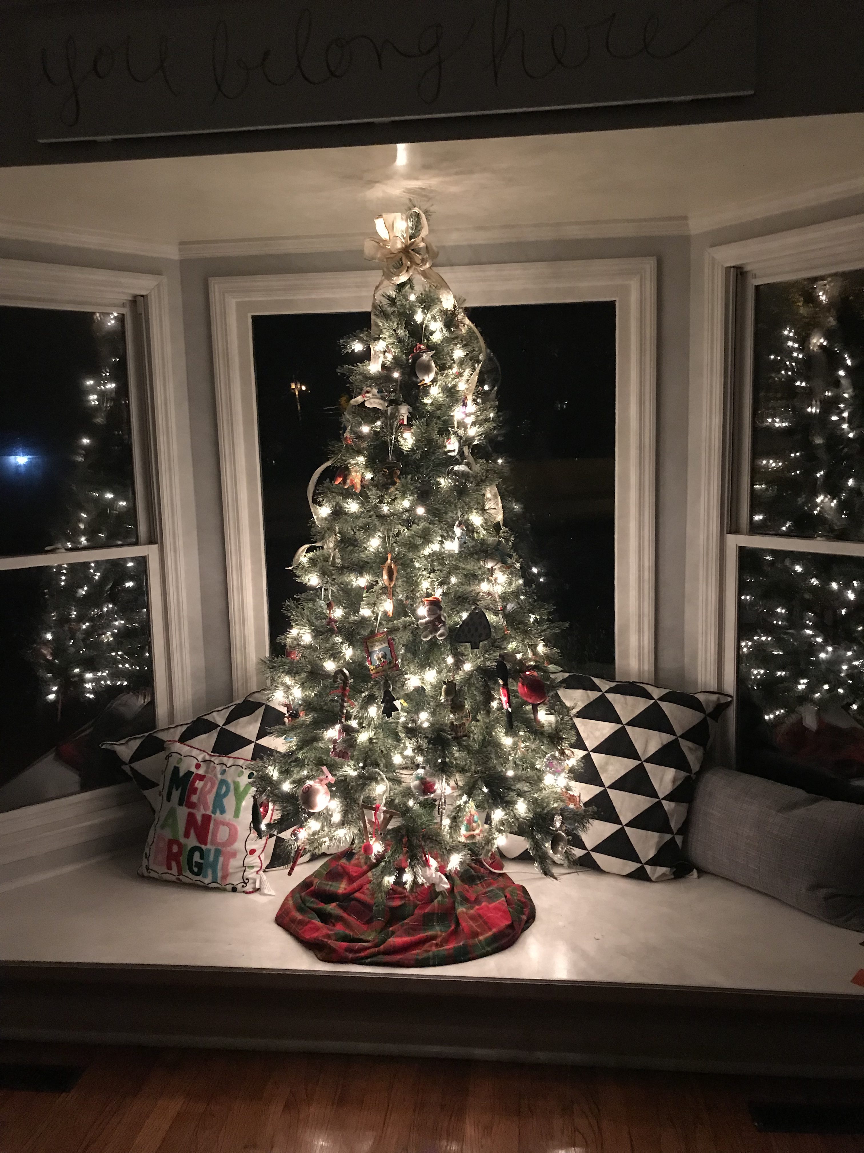 Christmas tree in a window